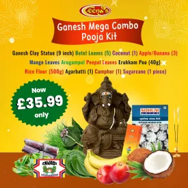 Vinayagar Chaturthi Combo Kit( With 9 inch Vinayagar Statue)